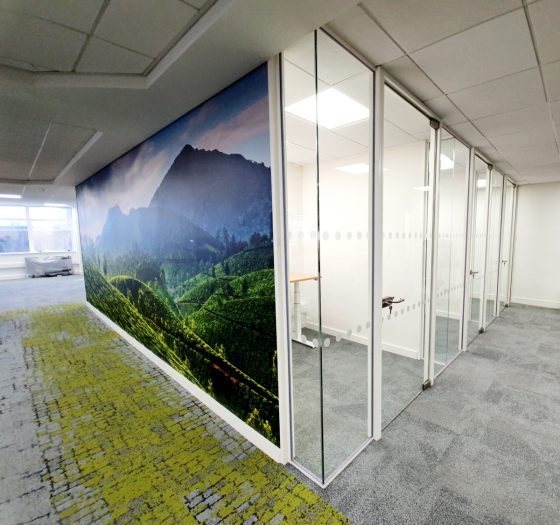 Wall Graphics & Manifestation