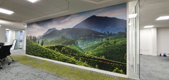 Large Scale Graphics